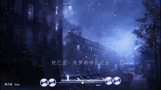 2021華語網絡流行音樂 ||《影子說》|| 洛先生 || 動態歌詞