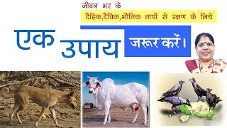 रोज के जीवन में अपना लीजिये ये 3 उपाय धीरे धीरे-सारे हालात सुधरने लगेंगे। Remedy for All Problem