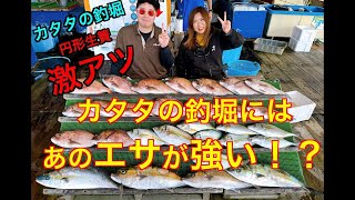 【海上釣堀】カタタの釣堀円形イケスがアツイ！！釣具屋さんで買えるあの餌で真鯛、シマアジ、青物爆釣！！