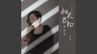 如果当初你没走 (Dj彭锐版)