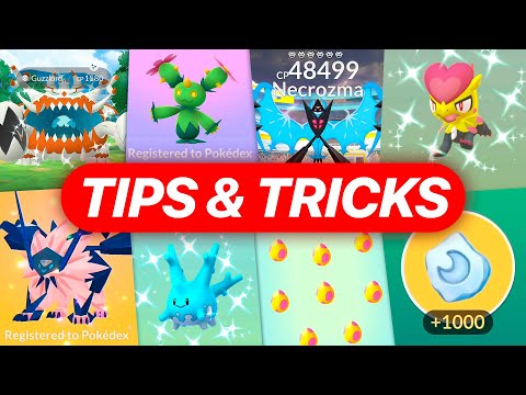 Global GO Fest 2024 TIPS & TRICKS!