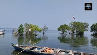 കൊല്ലം സാമ്പ്രാണിക്കോടി തുരുത്തിലേക്ക് സഞ്ചാരികളെ വീണ്ടും പ്രവേശിപ്പിച്ചു തുടങ്ങി.