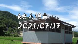 kさん鳩舎　2021年7月17日