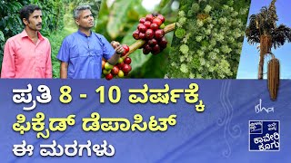 ಕಾಫಿ ತೋಟ-ಸಮಗ್ರ ಕೃಷಿ -ಒಂದು ನೋಟ| ಕಾಂತರಾಜು | Kantharaju | Coffee with Integrated Farming