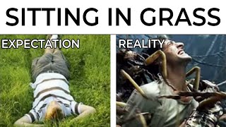 Expectation Vs Reality Memes