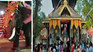 Anchumana Devi temple Ernakulam Kerala ||Utlsavam||Panchari Melam ||AANA (elephant)patam decorations