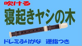 寝起きヤシの木 ソプラノリコーダー ドレミ運指つき