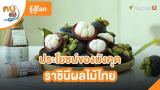 ประโยชน์ของมังคุด ราชินีผลไม้ไทย | รู้สู้โรค | คนสู้โรค