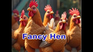 Fancy Hens/ Beautifull Murgian