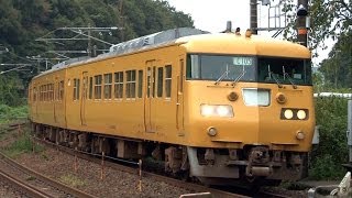 JR西日本 117系濃黄色 セキC105編成 厚狭→埴生 2013.10