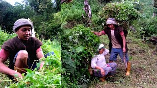 Life With Nature || Video - 205 ||  Cutting grass in the village || Rural Nepal ||