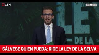 El EDITORIAL de ALEJANDRO BERCOVICH en LA LEY DE LA SELVA