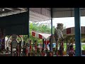 vietnam qi sheng miao dragon u0026 lion dance 越南安江省七圣庙艺术龙狮团 13th penang lion dance competition 2024