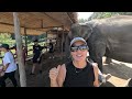 we weren t expecting this adventures in chiang mai thailand. 🐘🐘🐘 ep. 95