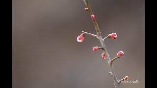 어리석음은 어떻게 알아차릴 수 있나요? (2024.02.26)