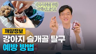 강아지 슬개골 탈구 예방방법 (ft. 펄펫 크릴멍멍, 크릴야옹)