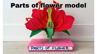 Parts of Flower 3D model 🌸 with recycle bag / Science Project for Biology / #partsofflowerdiy