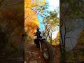 バイクで走る秋鹿〜万沢林道の紅葉が最高すぎた… 紅葉 ツーリング オフロード バンバン200 オフロードバイク オフ車 林道 林道ツーリング モトブログ 秋鹿林道 万沢林道