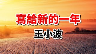 王小波散文《寫給新年》從理想主義到哀樂中年，生活感悟與選擇