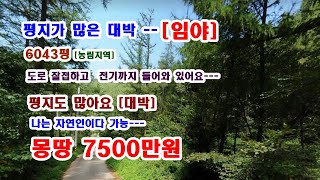 [평지많은임야] 나는 자연인이다 최적 전기 도로 물 다 있어요 6043평 몽땅 7500만원