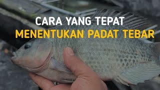 PADAT TEBAR IKAN NILA YANG IDEAL PADA SISTEM BIOFLOK