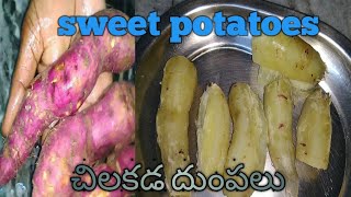 చిలకడ దుంపలు ఈ విధంగా ఉడకబెట్టి చూడండి(sweet potatoes) #nunnavlogs