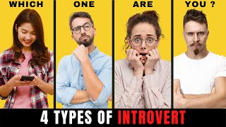 4 Types of Introvert | Personality Types