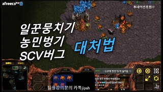 [스틱] 일꾼뭉치기 버그 농민봉기 SVC농봉 저그로 막는방법 버그쓰는방장 참교육!! 헌터스타팀플 TeamPlay StarCraft  星際爭霸 Стар Крафт