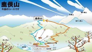 【鹿俣山：冬】原生林の深雪道～庇を飾る白き花模様～