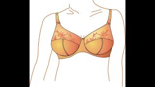 स्तनको आकार बढाउने सजिलो तरिका(Easy steps to increase breast size)