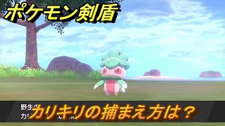 ポケモン剣盾　カリキリを捕まえる方法！オススメの場所は？天気は？ポケモン図鑑コンプへの道！　最新版【ポケモンソード・シールド】