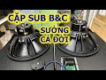 SUB B&C - SƯỚNG CẢ ĐỜI