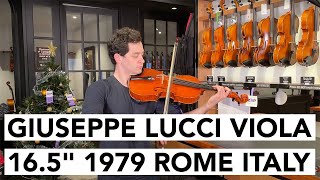 Giuseppe Lucci Viola 16.5\