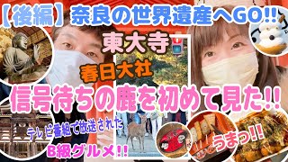 🦌【後編*奈良】信号待ちする鹿を見た‼️奈良公園近辺のB級グルメが美味しい😋流石は世界遺産‼️✨