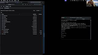 Opening the Python Shell, Running Python Scripts, Jupyter and Google Colab Introduction