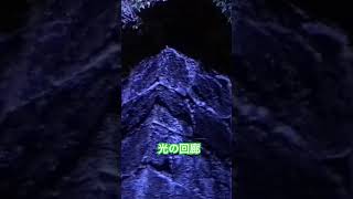 和歌山城【ライトアップ点灯式】#イルミネーション