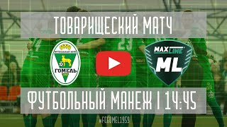 Товарищеский матч. «Гомель» — «МЛ Витебск» (15.02.2025)