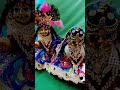 laddu gopal radharani status#short#video#youtube#whatsaap