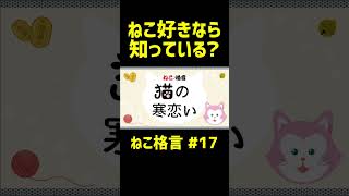 【 ねこ格言 】猫の寒恋い（かんごい）【 慣用句 】教えたくなるネコ雑学 #shorts