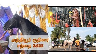 Anthiyur Gurunadha Samy temple Festival 2023| Horse Show #nightfury #anthiyur #horse