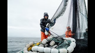 The Trident Seafoods Mission