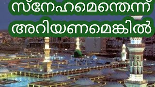 സ്നേഹമെന്തെന്ന് അറിയണമെങ്കിൽ നബിയെ (സ)പുൽകണം 💞💞