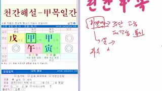 천간통변 - 갑목일간의 물질적, 인간적 측면에서의  사주 원국풀이