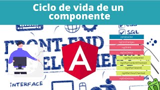 Ciclo de vida de un componente de Angular