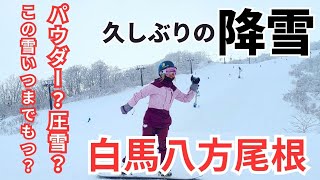 【スノーライフ】久しぶりの降雪！！白馬八方尾根へ。パウダー？！圧雪？！