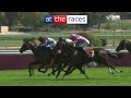 Arc contender? PLACE DU CARROUSEL lands the Prix Foy at ParisLongchamp