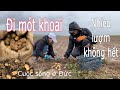 Đi mót khoai chủ farm bỏ ngoài ruộng. Người Việt ở Đức | Cuộc sống nông thôn ở Đức