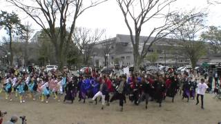 京都さくよさ2016　総踊り「エビバディこいや!!」