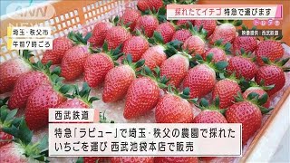 “採れたてイチゴ”を特急で百貨店へ・・・農家を応援(2021年1月15日)