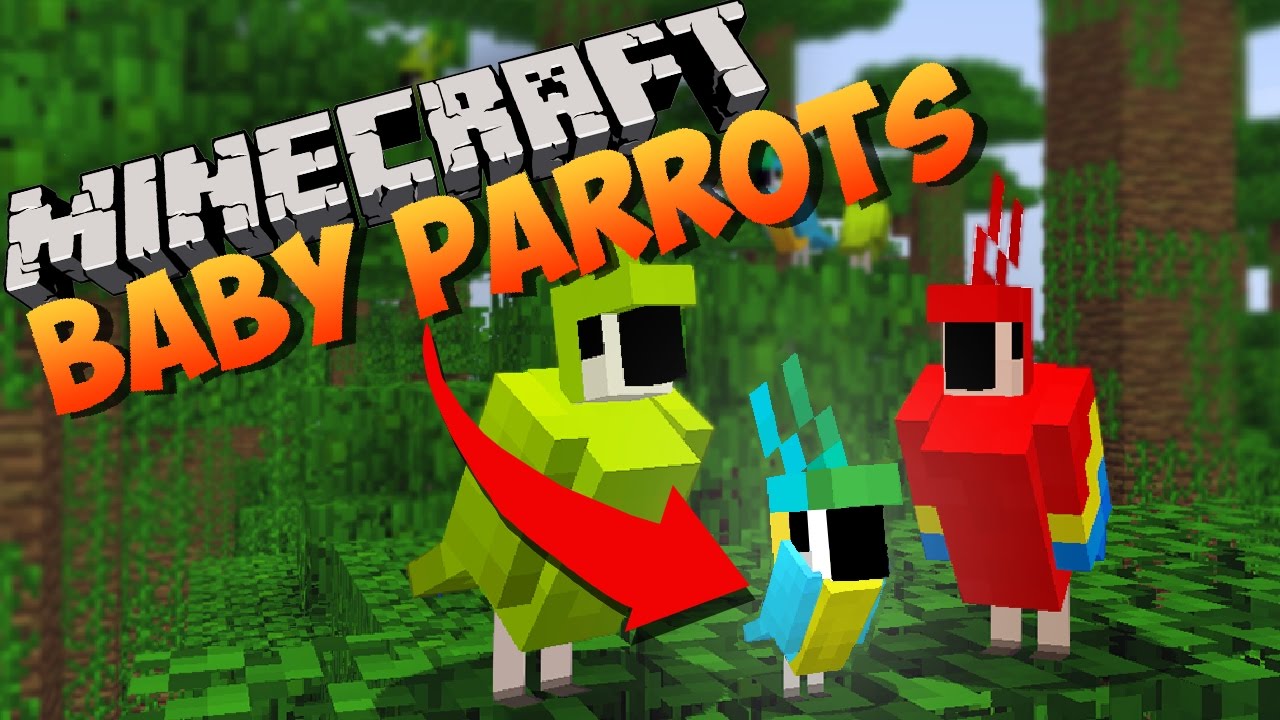 How To Breed Parrot In Minecraft